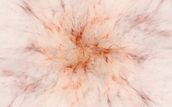 2014 04 30 Webs and Things 67-white.jpg